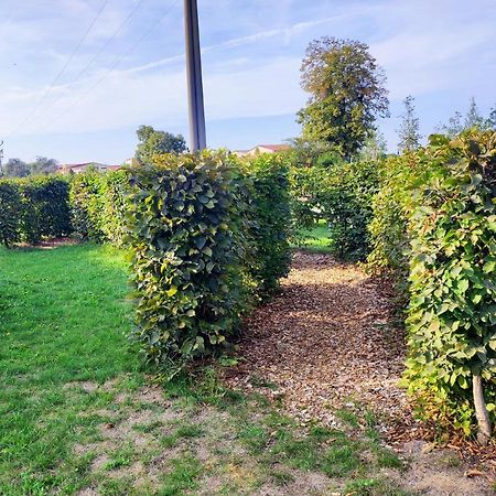 Apartman A2 Lednice Bagian luar foto
